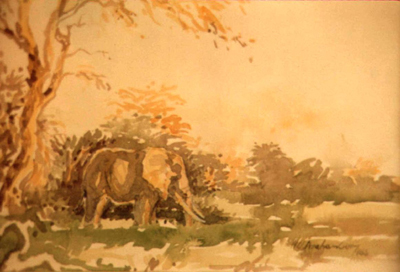 Bild Ein alter Elefant im Gras von Uli Aschenborn